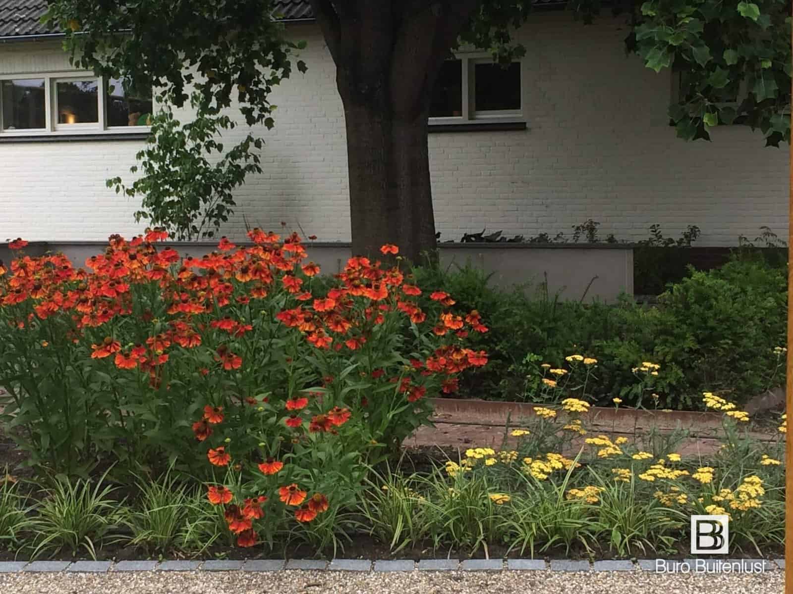 Tuinontwerp moderne landelijke tuin