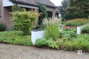 Buro Buitenlust ontwerpt sfeervolle tuinen met een natuurlijke uitstraling. Unieke en persoonlijke tuinen die elk jaar mooier worden.