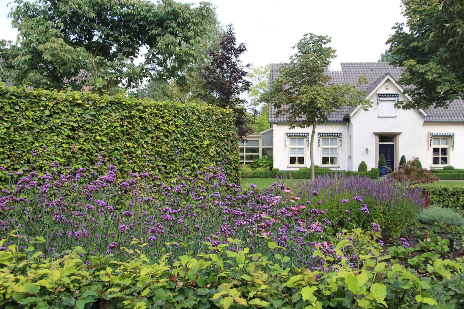 Tuinontwerp - Buro Buitenlust ontwerpt sfeervolle tuinen met een natuurlijke uitstraling. Unieke en persoonlijke tuinen die elk jaar mooier worden.