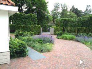 Landelijke tuin met een natuurlijke beplanting bij modern landgoed Tilburg