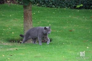 Een van de bewoners checkt de nieuwe tuin. Is er voldoende rekening gehouden met praktische looproutes?