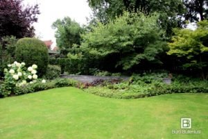 Muurtjes en hagen versterken de structuur van deze landschappelijke tuin bij een moderne villa in Eindhoven
