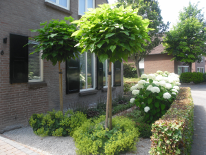 Een eenvoudig en helder tuinontwerp versterkt de uitstraling van uw woning
