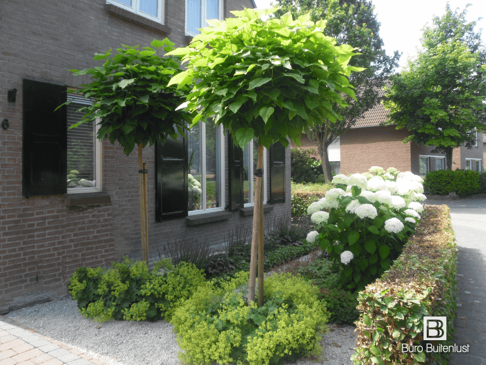 Nutteloos George Stevenson inhoudsopgave Tuinontwerp voortuin-Kies voor een helder en eenvoudig tuinontwerp