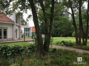 Tuinontwerp met natuurlijke beplanting