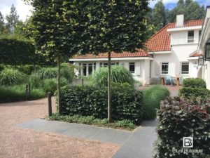 Tuinarchitect voor exclusieve tuinen in Tilburg