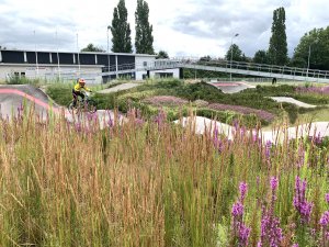 Landschappelijke inpassing