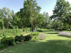 Sfeervolle tuin bij stadsvilla Roermond