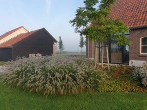 Tuinontwerp landelijke en landschappelijke tuinen