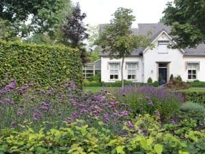 Landelijke tuin Oirschot