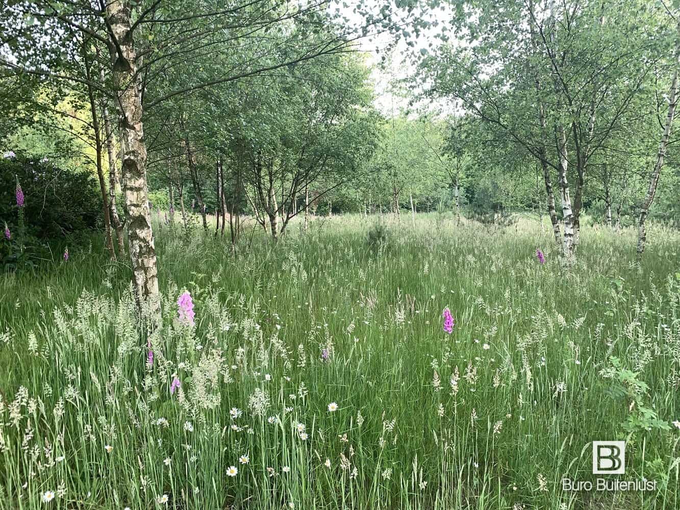 Tuinontwerp Landschappelijke tuinen in het buitengebied